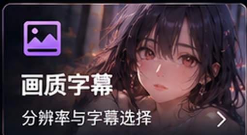 无码动漫画质字幕资料